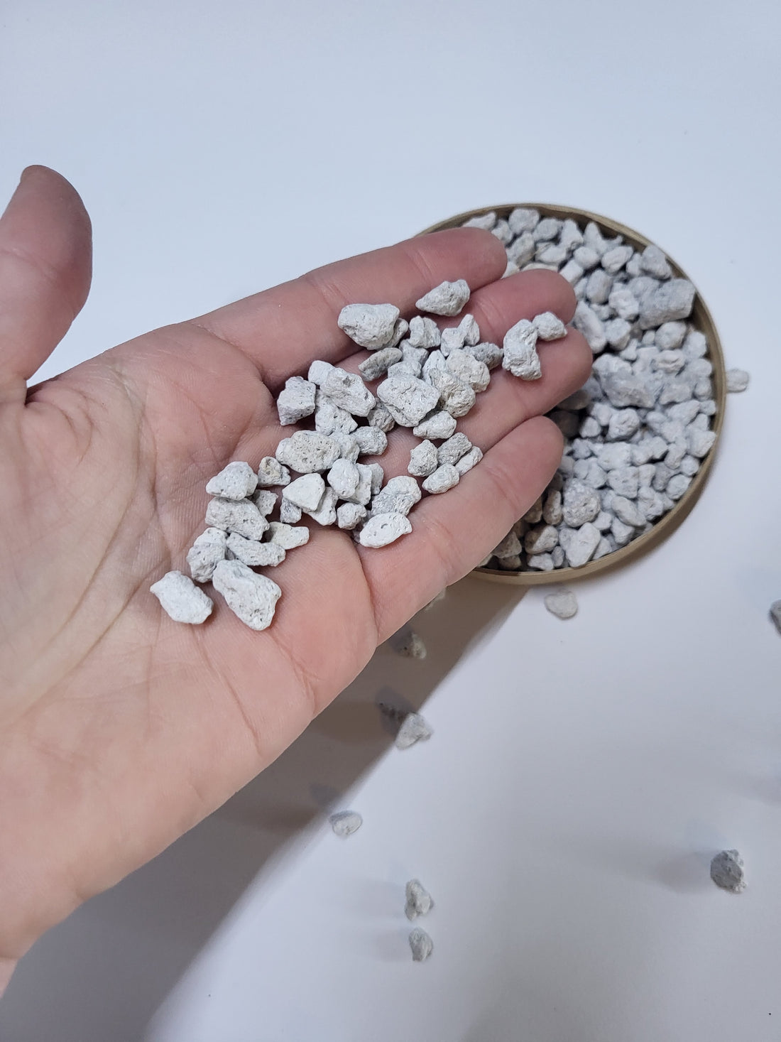 Pumice stones, serving as a natural soil amendment to improve aeration and drainage.