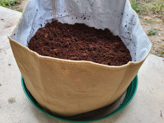 Austin Worm Bin + 500 worms - FREE SHIPPING