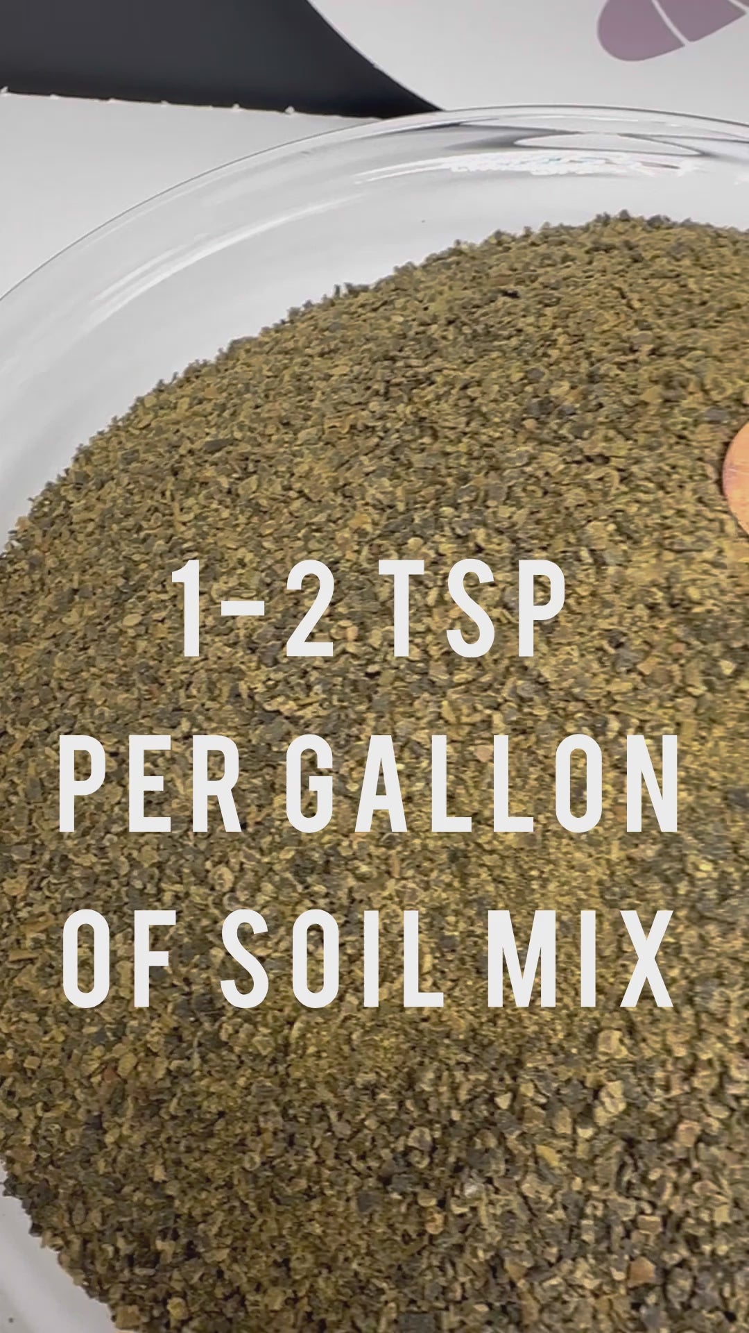 Kelp Meal in potting mix