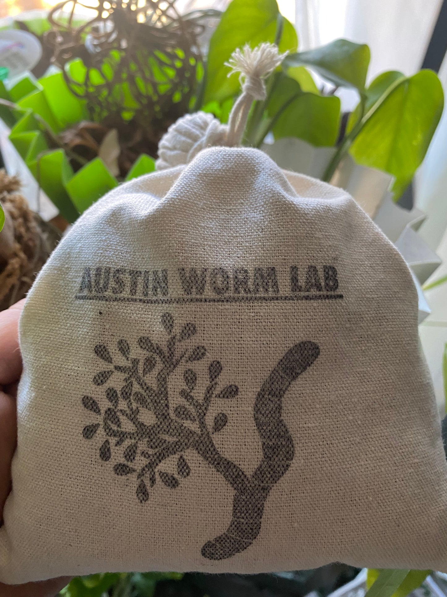 Composting Worms - FREE SHIPPING