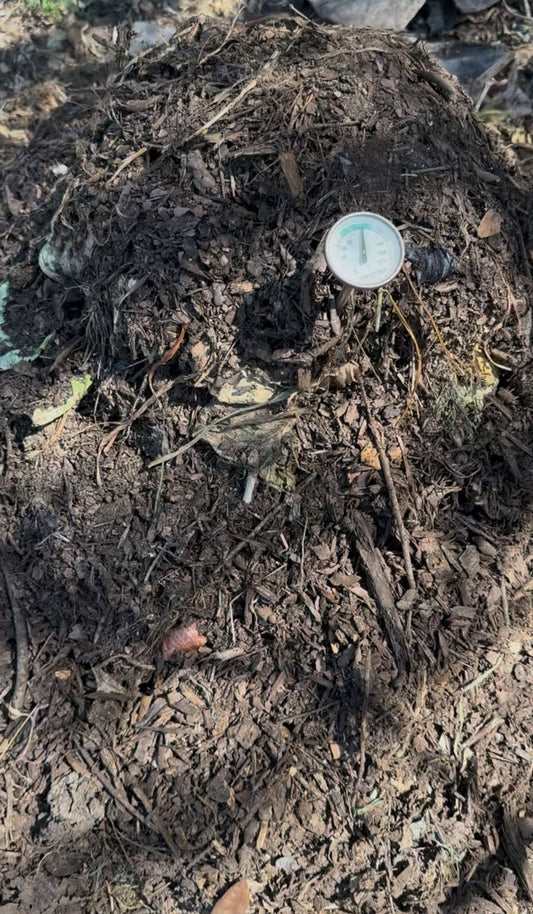 Static Compost Pile in an Urban Area: The Easiest Compost Method