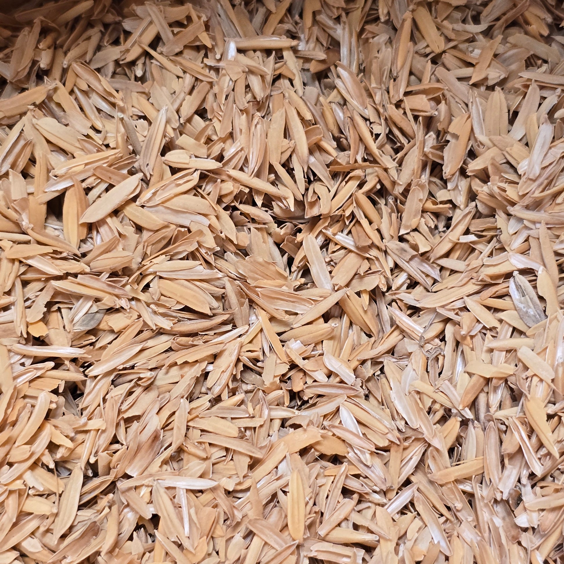 rice hull potting mix Rice Hulls - Parboiled