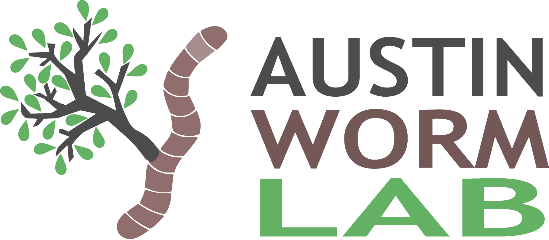 Austin Worm Lab